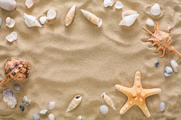 Conchas do mar e seixos fundo, pedras marinhas naturais — Fotografia de Stock