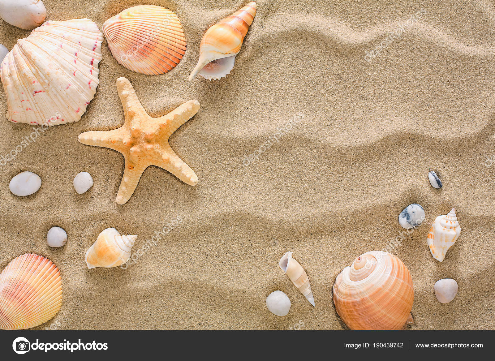 Sea Beach Sand And Seashells Background Natural Seashore Stones And Starfish Stock Photo Image By C Milkos Sea Beach Sand And Seashells Background Natural Seashore Stones And Starfish Stock Photo Image By C Milkos