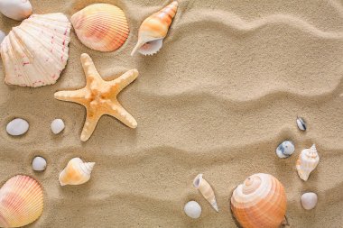 Deniz plaj kum ve deniz kabuklarını arka plan, deniz kıyısı taşlar ve deniz yıldızı