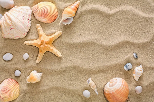 Sea beach sand and seashells background, natural seashore stones and starfish — Stock Photo, Image