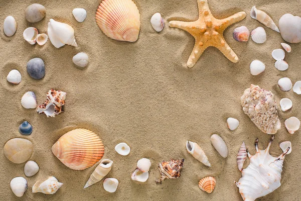 Conchas marinas y guijarros de fondo, piedras marinas naturales — Foto de Stock