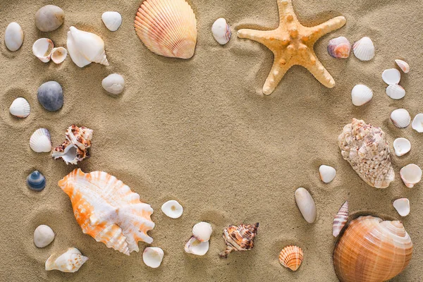 Conchas do mar e seixos fundo, pedras marinhas naturais — Fotografia de Stock