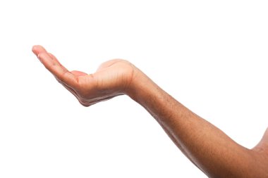 Beyaz izole palmiye açık tutan adam