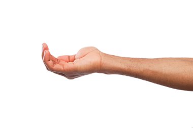 Beyaz izole palmiye açık tutan adam