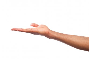 Beyaz izole palmiye açık tutan adam