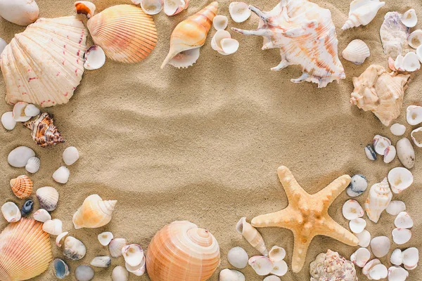 Snäckskal och småsten bakgrund, naturliga seashore stenar — Stockfoto