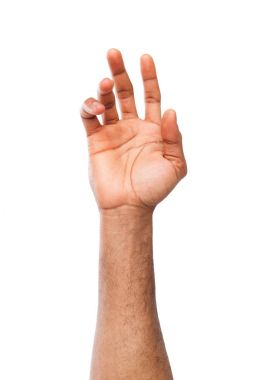 Beyaz izole palmiye açık tutan adam