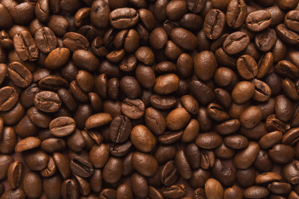 Closeup of coffee seeds, textured background