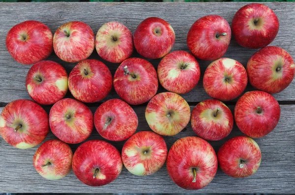 Dulce fresco maduro rojo manzana cosecha fondo — Foto de Stock