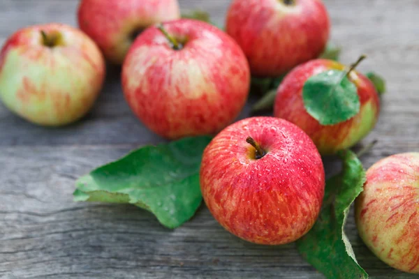 Cosecha de manzanas rojas y amarillas en jardín de otoño — Foto de Stock