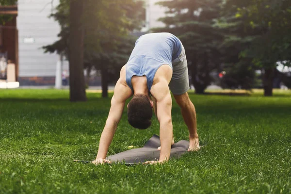 Yoga stretching. Man in dog pose outdoors — Stock Photo, Image