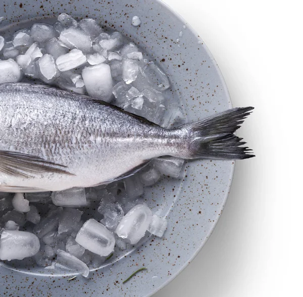 Dorado fresco sobre hielo sobre fondo blanco aislado —  Fotos de Stock