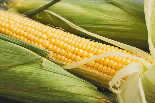 Fresh yellow corn cob closeup, background — Stock Photo, Image