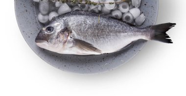 Buz beyaz izole arka plan, taze dorado