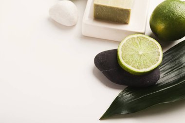 Ev ya da salon kaplıca tedavisi için doğal kozmetik