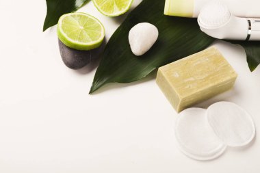 Ev ya da salon kaplıca tedavisi için doğal kozmetik