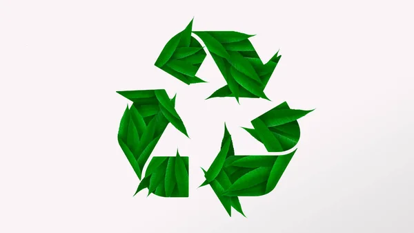 Recycling logo made with green leaves, white background