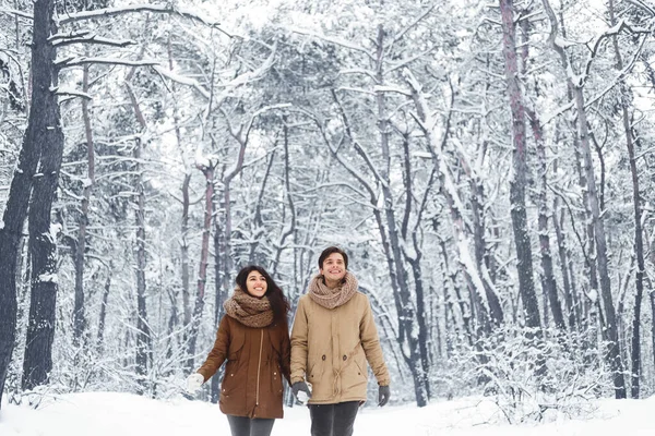 Cónyuges felices caminando sosteniendo las manos en el bosque de invierno —  Fotos de Stock