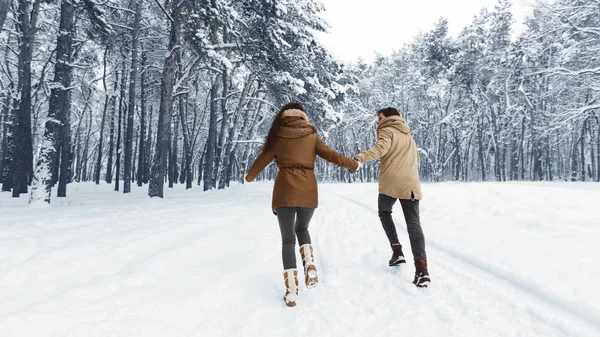 无法辨认的夫妻牵着手穿越冬天的森林，全景 — 图库照片