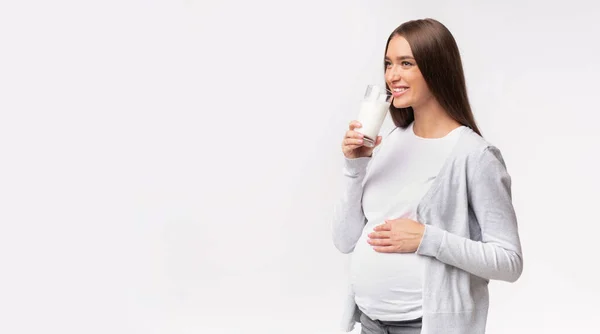 Happy Pregnant Girl Drinking Milk On Gray Studio Background, Panorama — Stok Foto