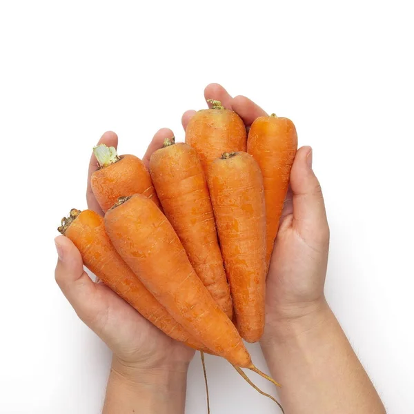 Woman holding fresh and clean carrots in hands over white — ストック写真