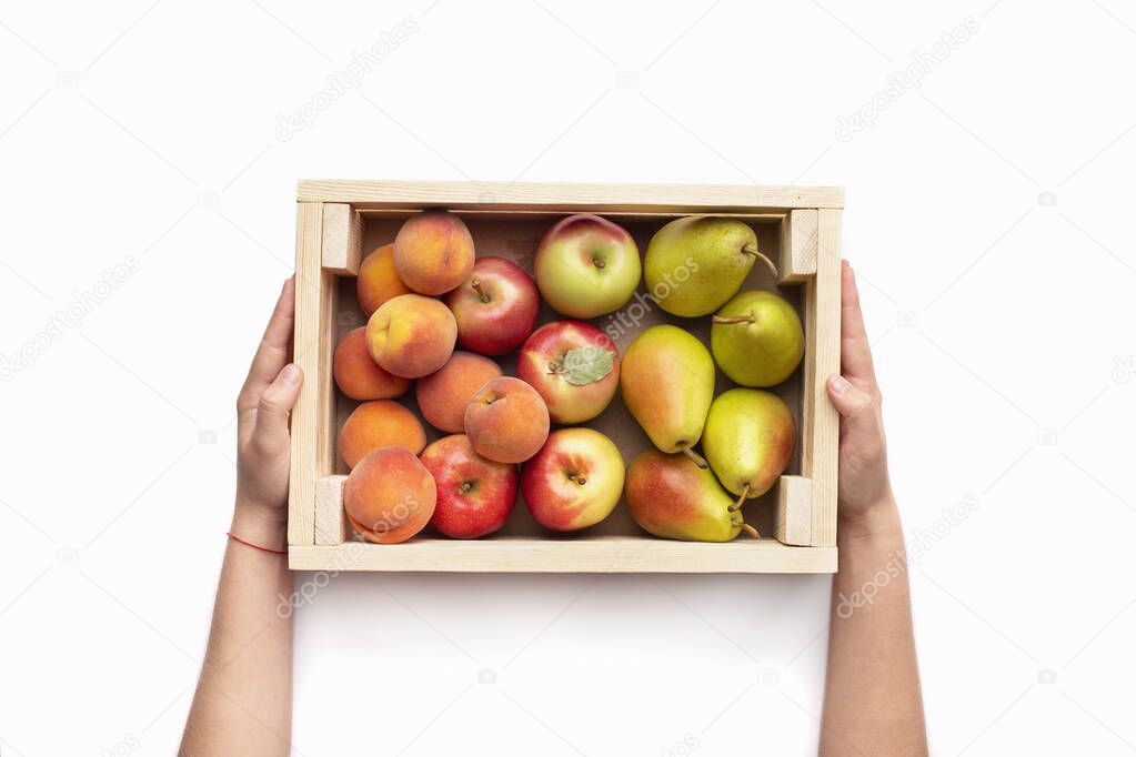 Garden fruits in eco wooden box in wman hands