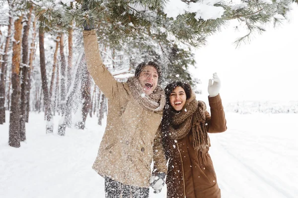 Couple Shaking Branch Making Snow Fall Standing In Winter Forest