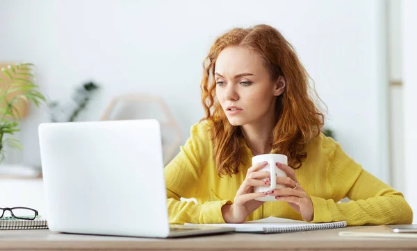 Chica seria leyendo noticias en el ordenador portátil y beber café — Foto de Stock