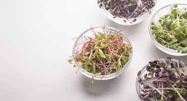 Beyaz zemin üzerinde cam plakalar içinde mikroyeşiller