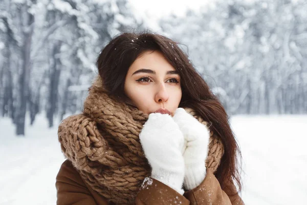 Chica soplando en las manos en guantes de pie en el bosque nevado —  Fotos de Stock