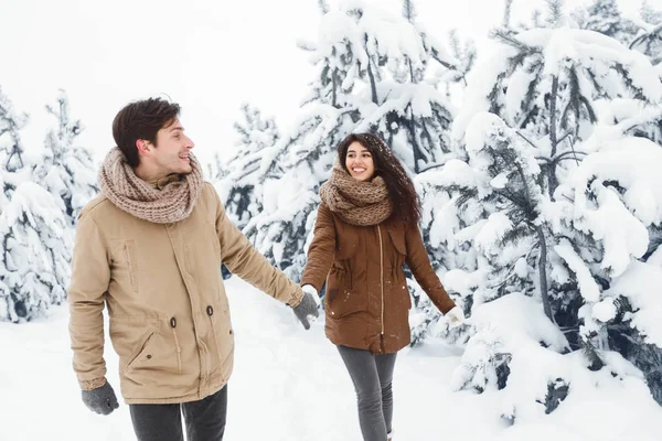 Cónyuges felices caminando sosteniendo las manos a través del bosque de invierno —  Fotos de Stock