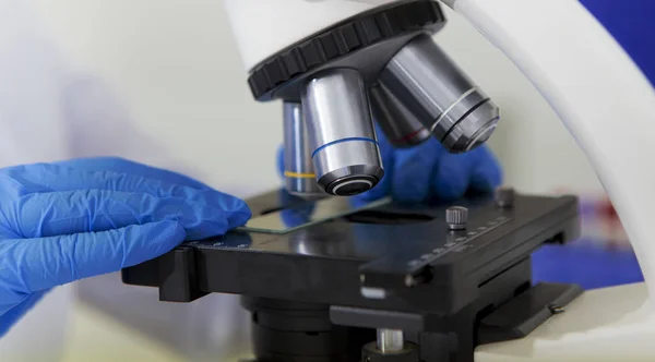Закрытие руки женщины в перчатках, подготовка образца на стекле под микроскопом — стоковое фото