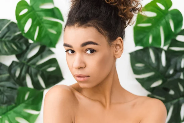 Beauty concept. Beautiful afro woman against tropical leaves — Stok fotoğraf