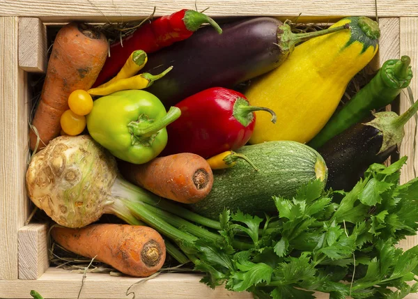 健康蔬菜和有机蔬菜在木箱中的分配 — 图库照片