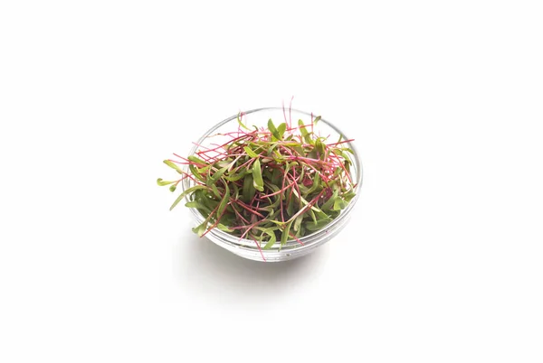 Sprouted microgreens for healthy nutrition isolated on white — Stock Photo, Image