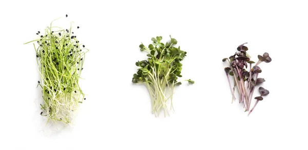 Set of fresh and healthy microgreens from different vegetables — Stock Photo, Image