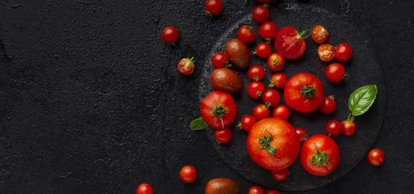 Red big and small tomatoes decorating by basil leaf on black