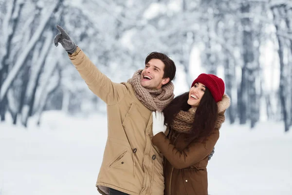 Manžel ukazující prstem nahoru ukazující manželce něco ve sněžném lese — Stock fotografie