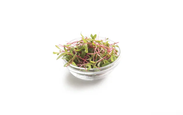 Red microgreens for detox diet isolated on white — Stock Photo, Image