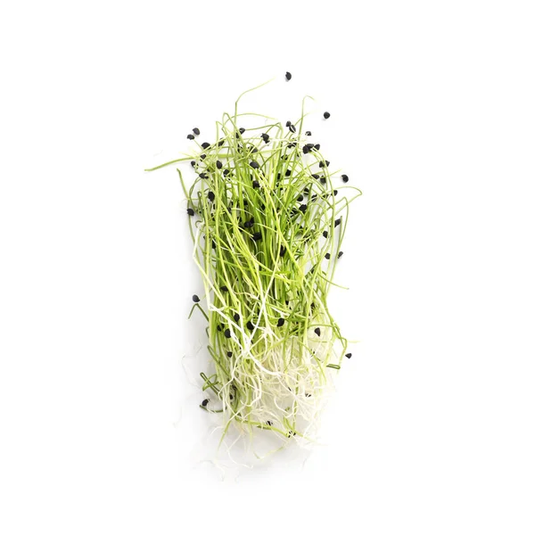 Microgreens cultivados orgánicamente aislados sobre fondo blanco — Foto de Stock