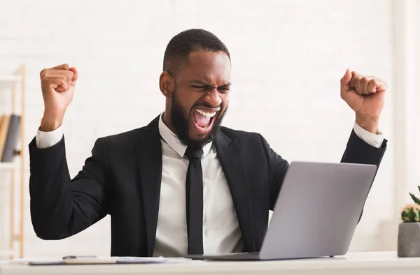 Nyfiken svart manager skriker och knyta nävar, tittar på laptop — Stockfoto