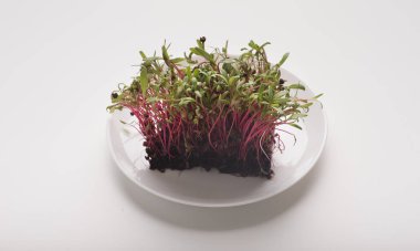 Beyaz arkaplanda kırmızı mikro yeşiller