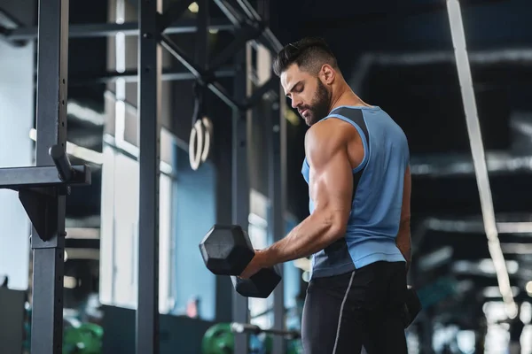 Beaux bras d'entraînement d'athlète avec haltères à la salle de gym — Photo