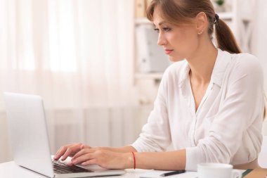 Modern Ofiste Oturan Bayan Laptop Yazı Makalesi