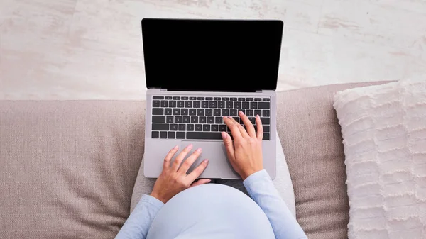 Gravid dame som bruker Laptop Sitting On Sofa, Mockup, Cropped, Panorama – stockfoto