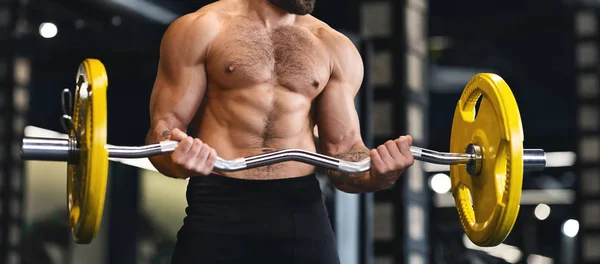 Muscular musculoso atlético músculos flexores com barra — Fotografia de Stock