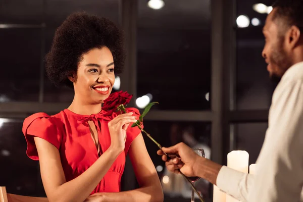 Муж подарил красную розу жене, празднуя Валентина в ресторане — стоковое фото