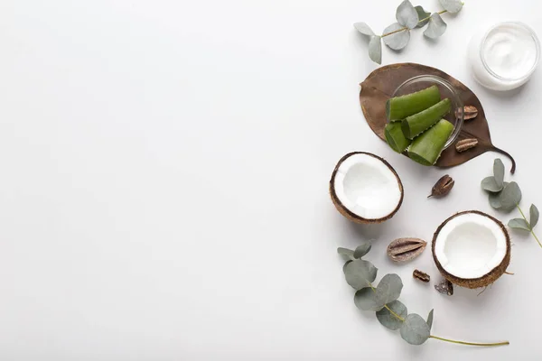 Cuidado natural de la salud de la belleza. Eco crema para el cuidado corporal de aloe vera — Foto de Stock