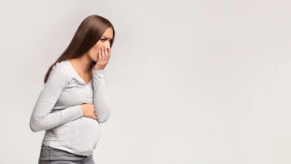 Mujer embarazada teniendo náuseas sentirse mal, Studio Shot, Panorama —  Fotos de Stock