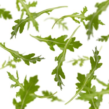 Uçan roka yaprakları beyaz arkaplanda izole edilmiş